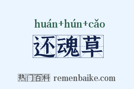 还魂草是什么意思的图片